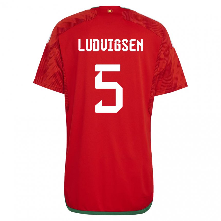 Kinder Walisische Kai Ludvigsen #5 Rot Heimtrikot Trikot 22-24 T-shirt