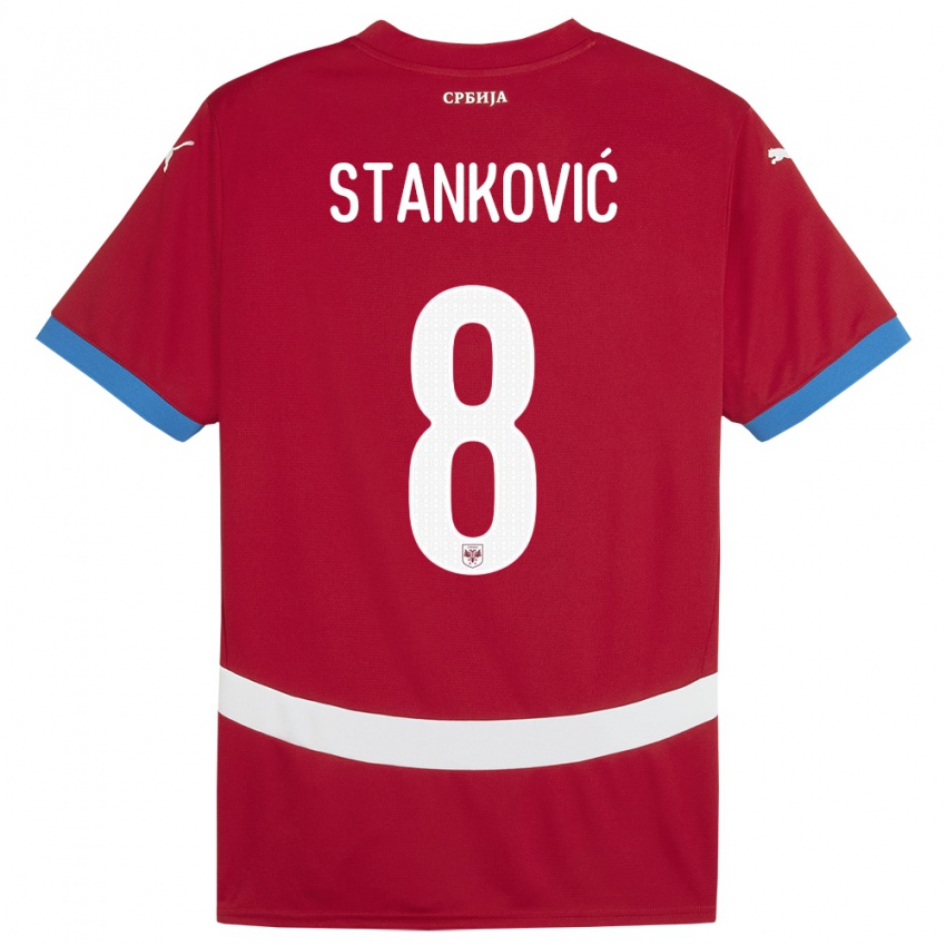 Damen Serbien Aleksandar Stankovic #8 Rot Heimtrikot Trikot 24-26 T-Shirt